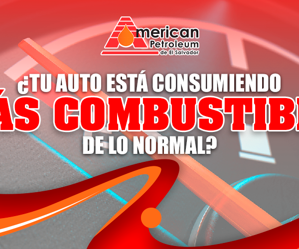 ¿TU AUTO ESTÁ CONSUMIENDO MÁS COMBUSTIBLE DE LO NORMAL?